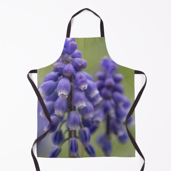 Item preview, Grape hyacinth designed and sold by Calidris Fotografie Steffi & Ben Köppler.