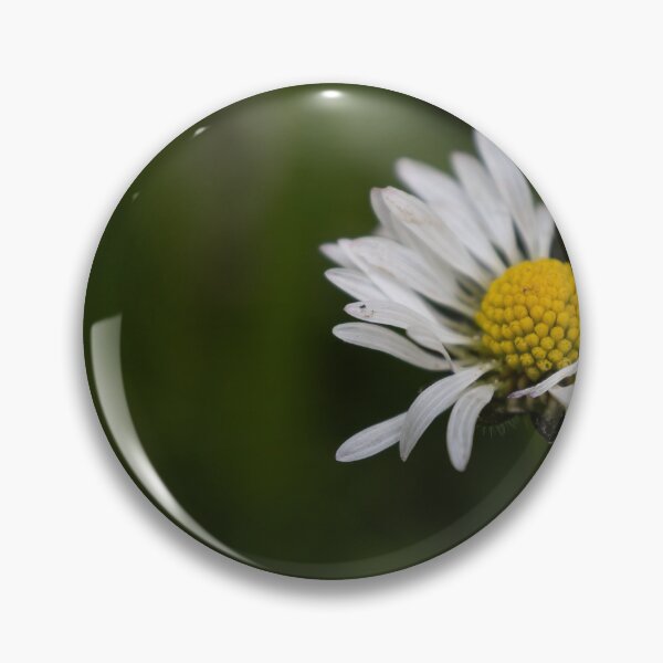 Item preview, Daisy designed and sold by Calidris Fotografie Steffi & Ben Köppler.