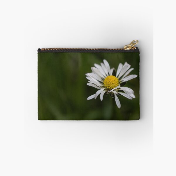 Item preview, Daisy designed and sold by Calidris Fotografie Steffi & Ben Köppler.