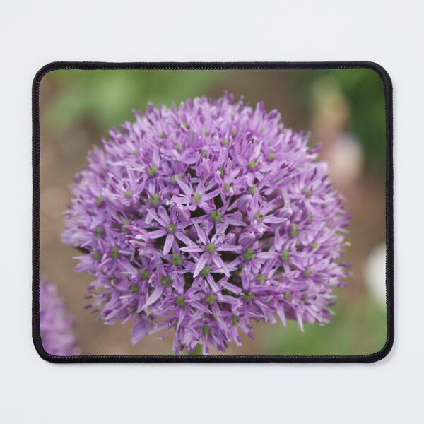 Item preview, In my garden - garlic designed and sold by mikistudio.