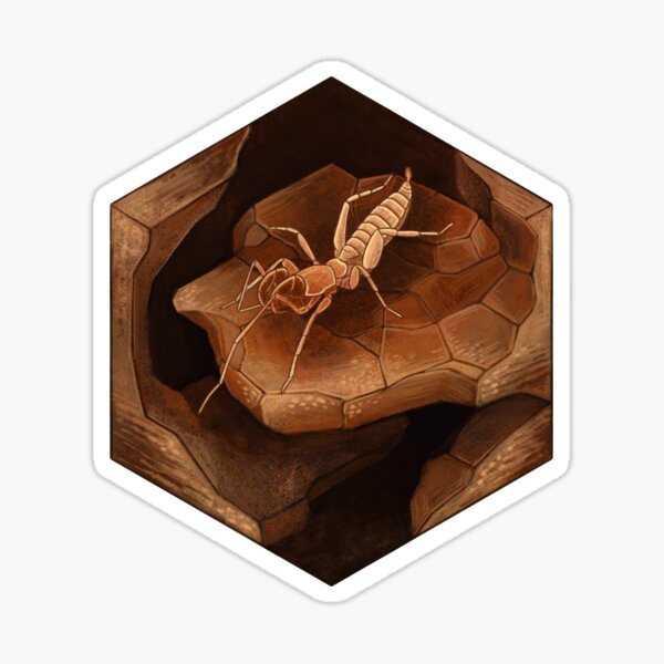 Item preview, Schizomid designed and sold by Franz Anthony.