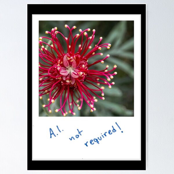 Item preview, Grevillea designed and sold by OxeLiveHappier.