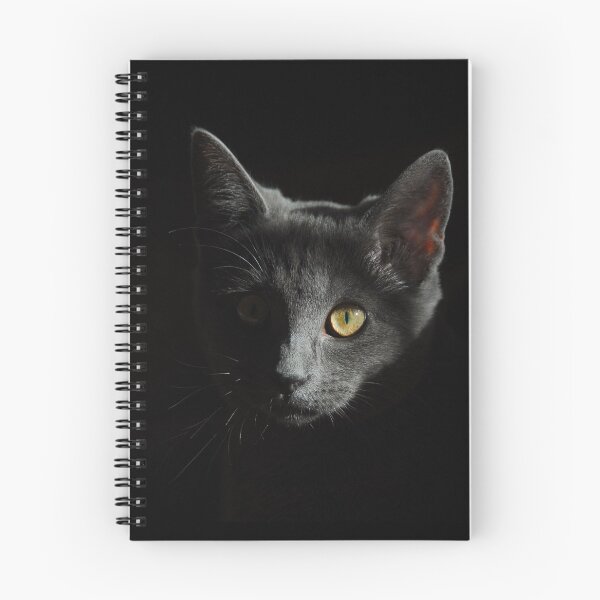 Item preview, Black Cat Shadow designed and sold by loganferret.