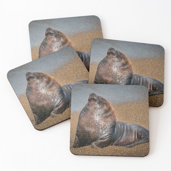 Item preview, Sea lion resting at punta norte beach, peninsula valdes chubut, argentina designed and sold by DFLC Prints.