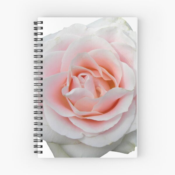 Item preview, Rosa claro designed and sold by VanyGo.
