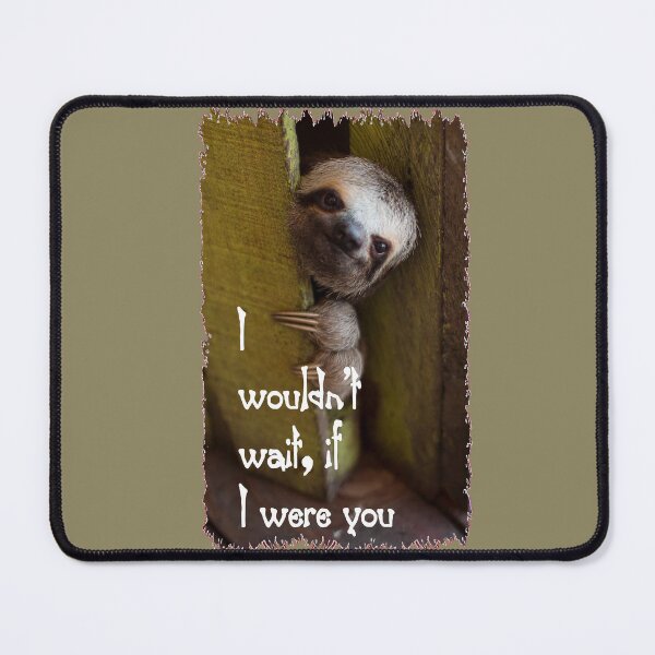 Item preview, CUTE SLOTH CREATIONS designed and sold by THE AMERICAN TEEVANGELIST.