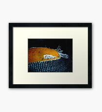 basket Framed Print