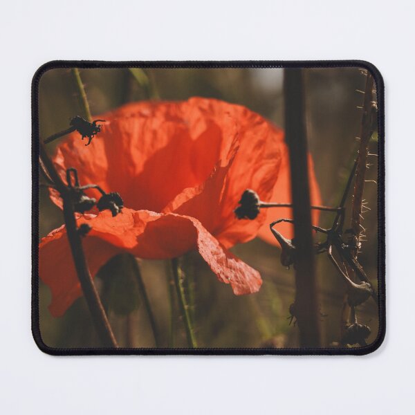 Item preview, Pansy flower lover defocus  designed and sold by GingaDesigns.