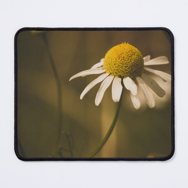 Item preview, Flower lover daisy with defocus designed and sold by GingaDesigns.
