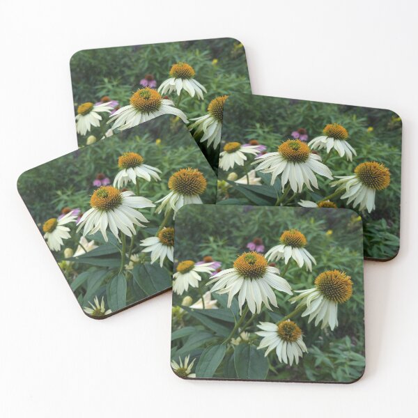 Item preview, Purple Coneflowers, White Form designed and sold by Betty Mackey.