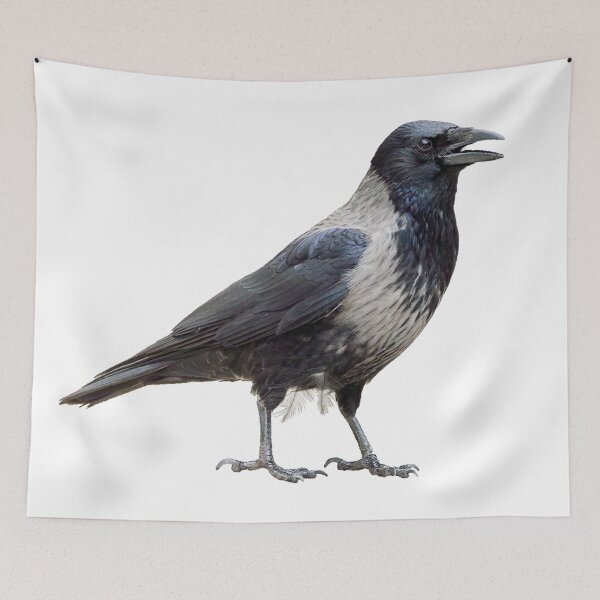 Item preview, Hooded Crow says hello designed and sold by kavohh707.