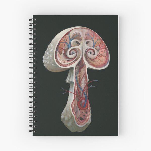 Item preview, Mushroom Anatomy designed and sold by dcrownfield.