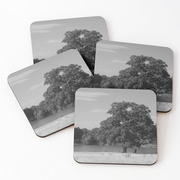 Artikelvorschau, Baum in Mono am Corsham Lake, Wiltshire, Großbritannien entworfen und verkauft von lezvee.