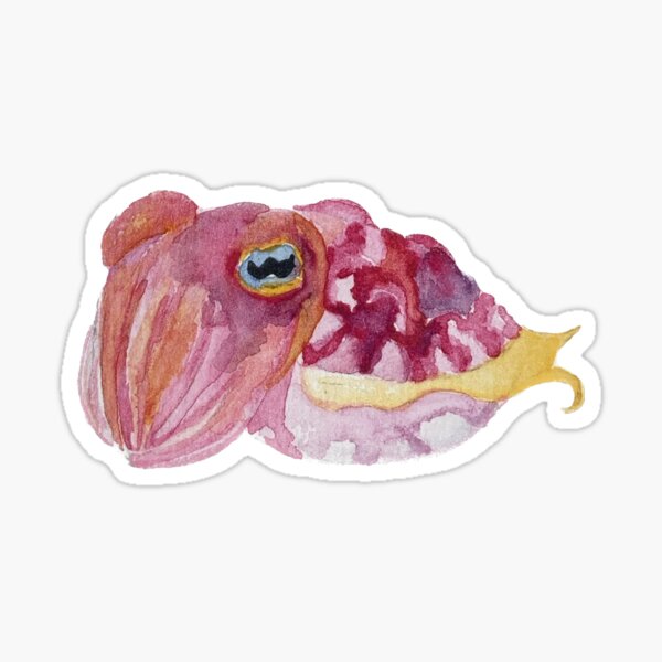 Item preview, Pink Cuttlefish designed and sold by EPiCmarbio.