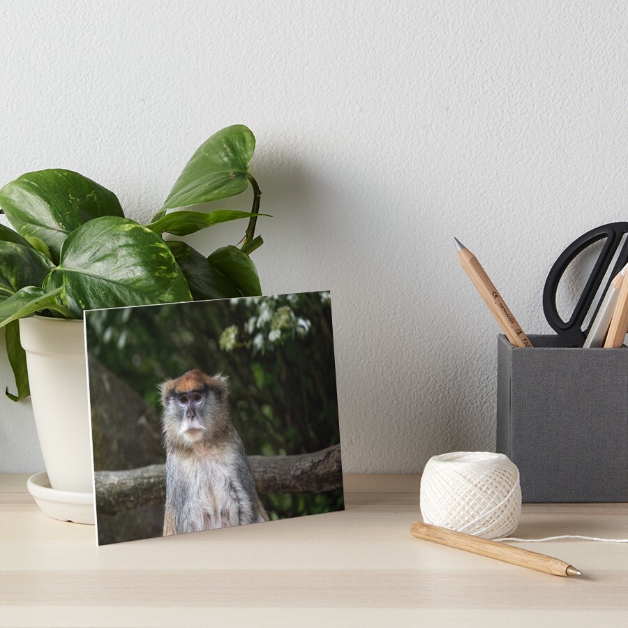 Item preview, Art Board Print designed and sold by ArtGalt.