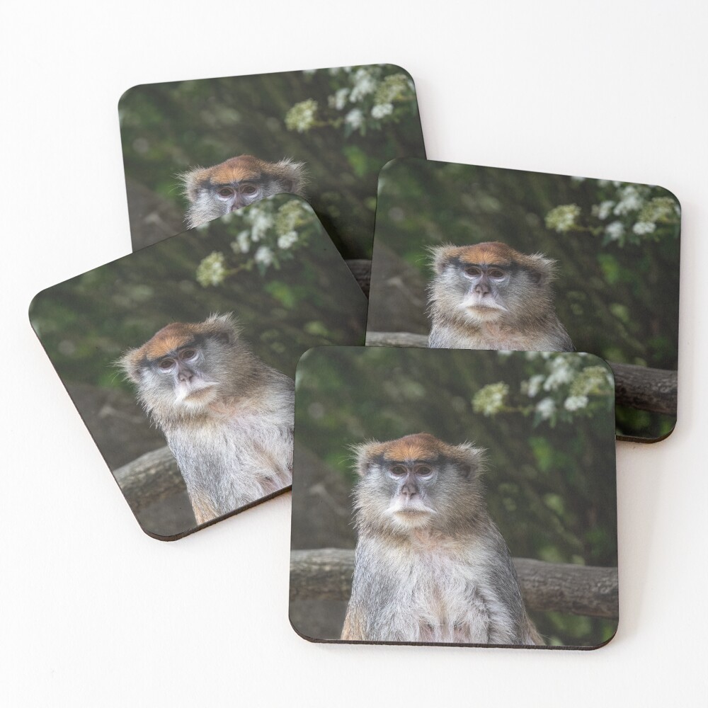 Item preview, Coasters (Set of 4) designed and sold by ArtGalt.