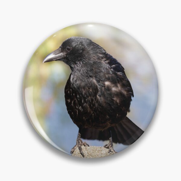 Item preview, Cute carrion crow designed and sold by kavohh707.