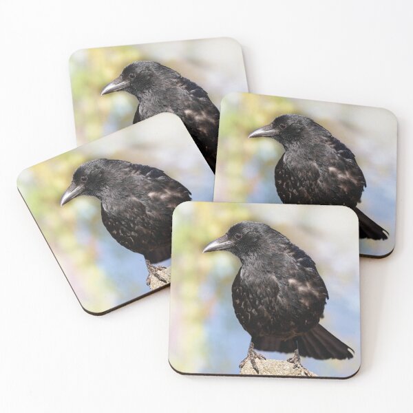 Item preview, Cute carrion crow designed and sold by kavohh707.