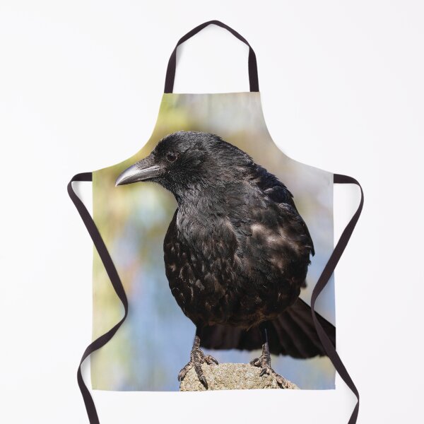 Item preview, Cute carrion crow designed and sold by kavohh707.