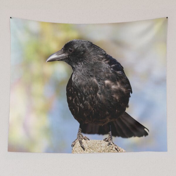 Item preview, Cute carrion crow designed and sold by kavohh707.