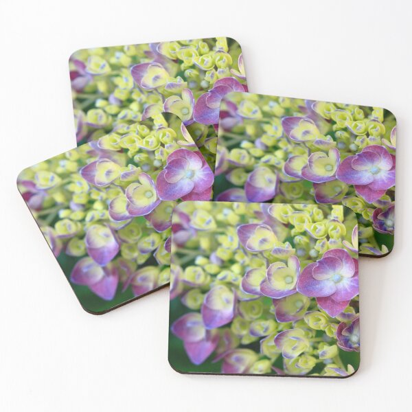 Item preview, Hydrangea designed and sold by Gaspar Avila.