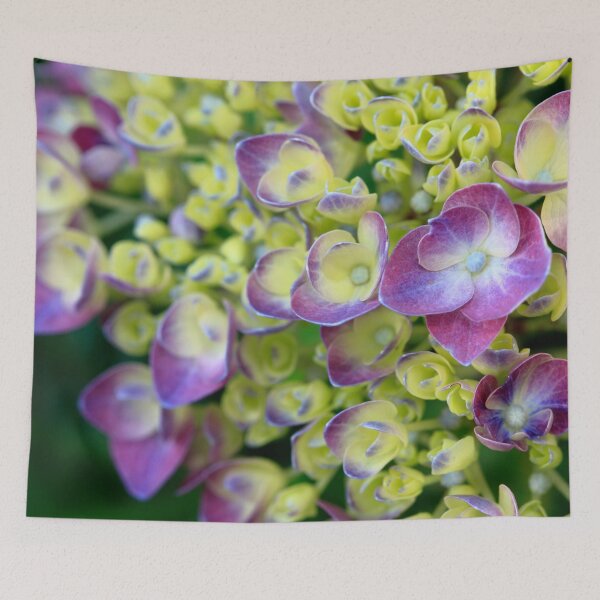 Item preview, Hydrangea designed and sold by Gaspar Avila.