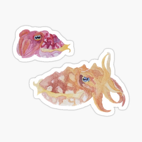 Item preview, Orange and Pink Cuttlefish designed and sold by EPiCmarbio.