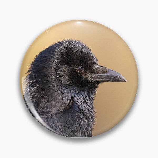 Item preview, Carrion crow in profile designed and sold by kavohh707.