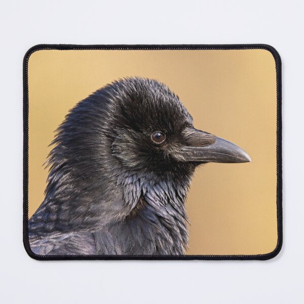 Item preview, Carrion crow in profile designed and sold by kavohh707.
