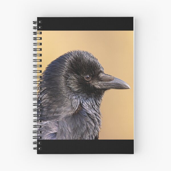 Item preview, Carrion crow in profile designed and sold by kavohh707.