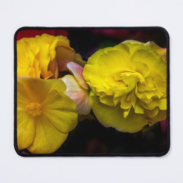 Item preview, Yellow Begonia flowers designed and sold by jasminewang.