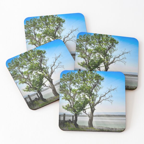 Item preview, we remember this sun from childhood... designed and sold by seasandlands.