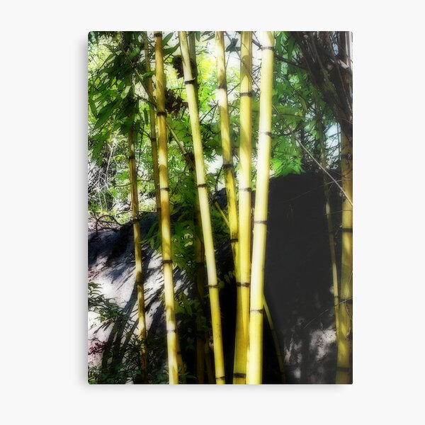 Shoots of green Metal Print