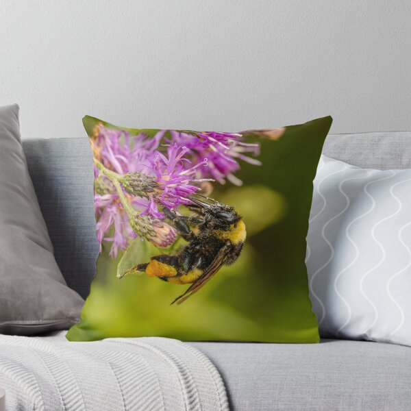 Item preview, Bee with loads of pollen designed and sold by Stephanie SD3 Creative.