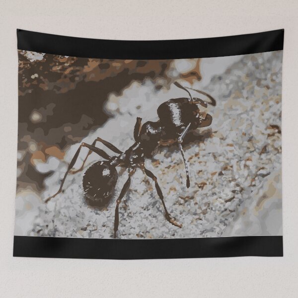 Item preview, Tetramorium ant designed and sold by Corner-Distro.