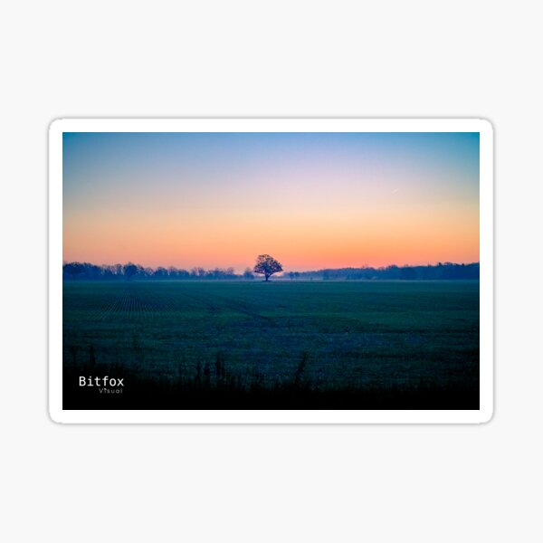 Morning Tree Sticker