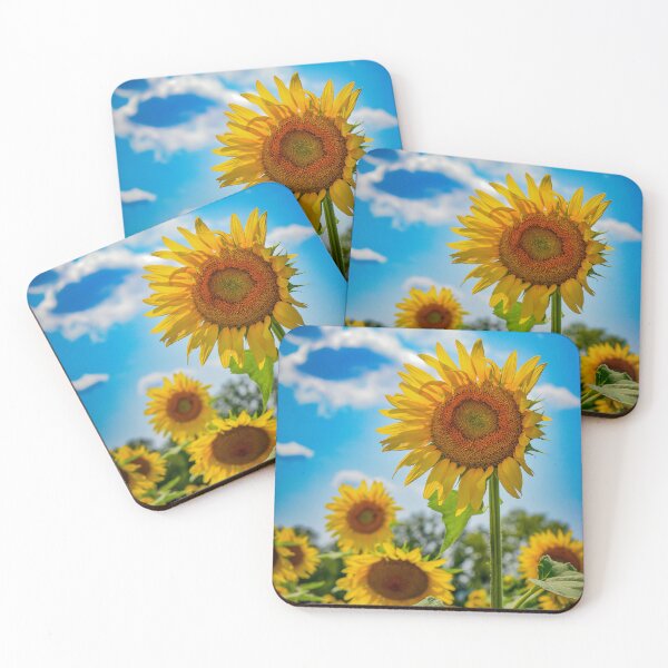 Item preview, Jersey Sunflowers designed and sold by DonnaMariePhoto.