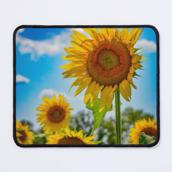 Item preview, Jersey Sunflowers designed and sold by DonnaMariePhoto.