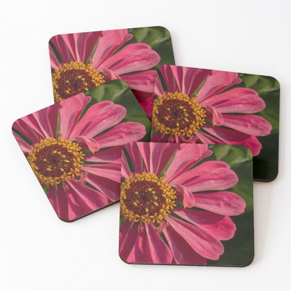 Item preview, Pink Zinnia designed and sold by Gerda Grice Photography.