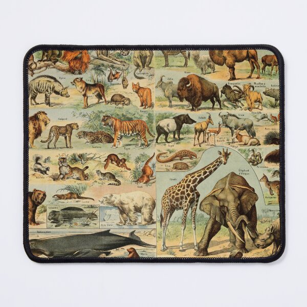 Item preview, Mammalia - Adolphe Millot designed and sold by RetroVoyages.