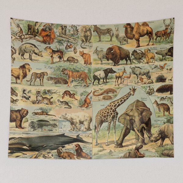 Item preview, Mammalia - Adolphe Millot designed and sold by RetroVoyages.