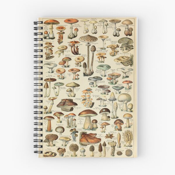 Item preview, Champignon Pour Tous Vintage Mushroom designed and sold by RetroVoyages.