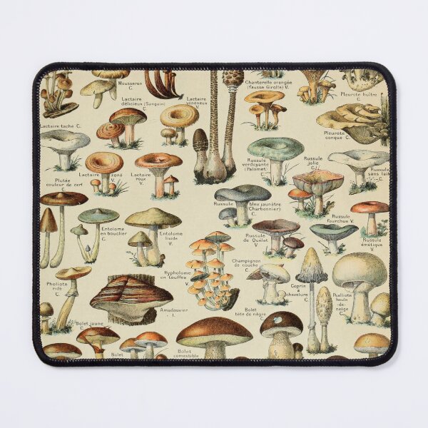 Item preview, Champignon Pour Tous Vintage Mushroom designed and sold by RetroVoyages.