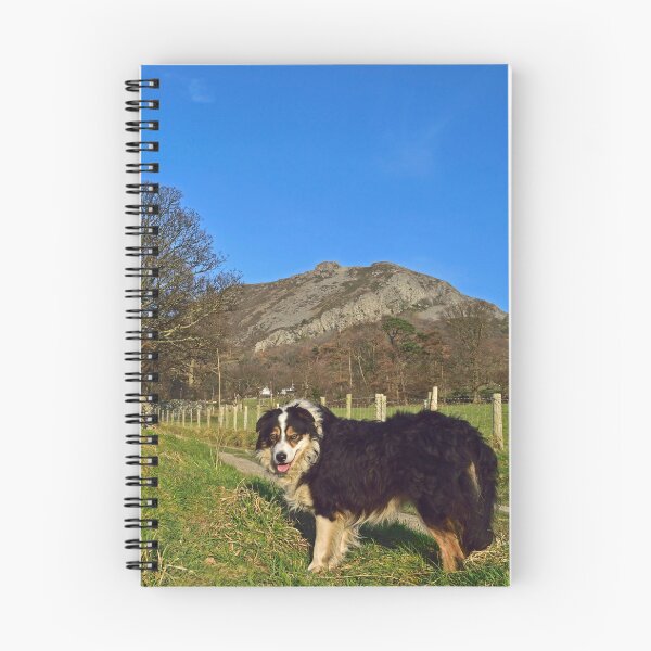 Item preview, A Country Path. designed and sold by Michael Haslam.