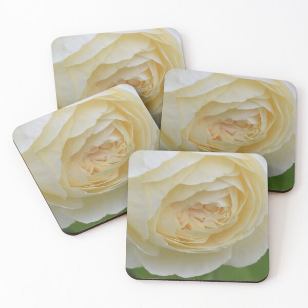 Item preview, Close up of a pale yellow rose.  designed and sold by CatherineMoore4.