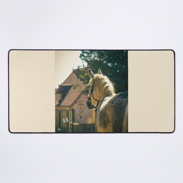 Item preview, Dapple gray horse beaming in the sun designed and sold by Anyhnto.