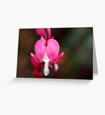 A Bleeding Heart Greeting Card