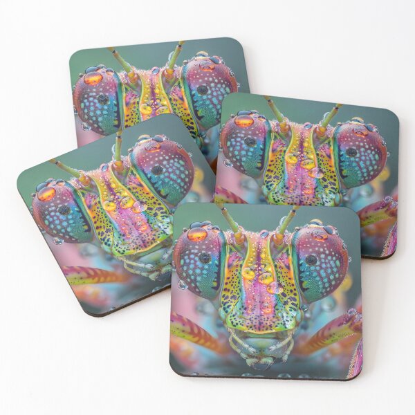 Item preview, Close-up of a colorful, dew-covered praying mantis head designed and sold by Artessie.