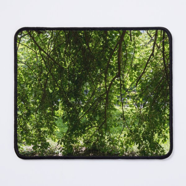 Item preview, Biophilic Leaf Curtain with Unripe Mulberries designed and sold by Georgia Mizuleva.