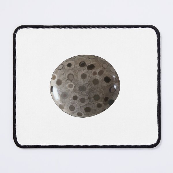 Item preview, Petoskey Stone designed and sold by AJakimcius.